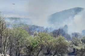 MUĞLA'DAKİ YANGIN STRATONİKİA ANTİK KENTİNDEKİ ZİRAİ ALANDA ETKİLİ OLUYOR