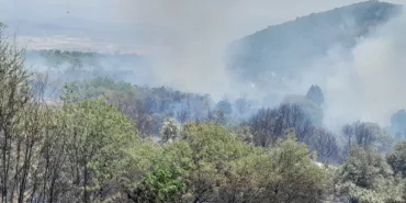 MUĞLA'DAKİ YANGIN STRATONİKİA ANTİK KENTİNDEKİ ZİRAİ ALANDA ETKİLİ OLUYOR