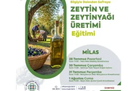 Adsız tasarım (10)