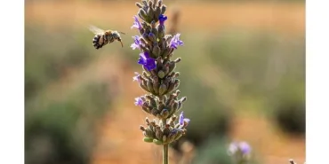 Adsız tasarım (9)