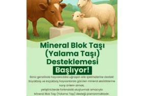 Akbelen’de Yükselen Sesin Arka Planı (10)