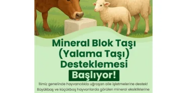 Akbelen’de Yükselen Sesin Arka Planı (10)