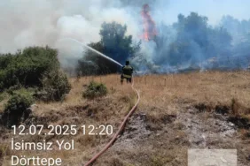 Lacivert Sarı Renkli Dinamik Kültür Sanat Haberleri Podcast