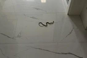 Lacivert Sarı Renkli Dinamik Kültür Sanat Haberleri Podcast (4)