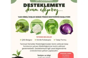 Milas'ta Korsan Taşımacılıkla Mücadele Devam Ediyor