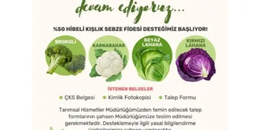 Milas'ta Korsan Taşımacılıkla Mücadele Devam Ediyor