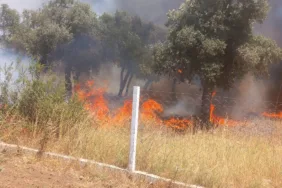 WhatsApp Görsel 2025-07-04 saat 14.46.28_e6059f40