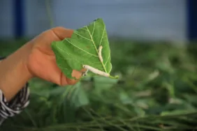 WhatsApp Görsel 2025-07-07 saat 11.18.09_d0eefd12