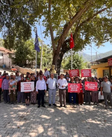 WhatsApp Görsel 2025-07-10 saat 16.35.39_7ef3659a