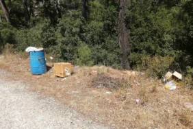 WhatsApp Görsel 2025-07-14 saat 14.40.42_a9aded5b