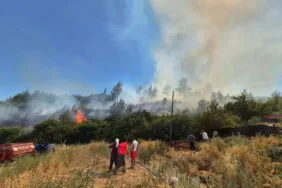 WhatsApp Görsel 2025-07-28 saat 15.35.53_1a17f33a