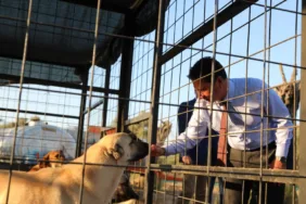 WhatsApp Görsel 2025-07-29 saat 12.10.54_2646419c