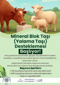 buyuksehirden-hayvanlara-yalama-tasi-destegi-A5Ma4Q2E.jpg