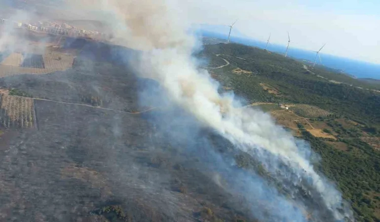 cesme-ve-odemiste-orman-yanginlari-devam-ediyor-tRiqr5nO.jpg