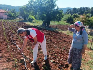 mentesede-tarim-ekiplerinden-urun-kontrolu-ve-ciftci-ziyareti-gerceklestirildi-QPaw4MpD.jpg