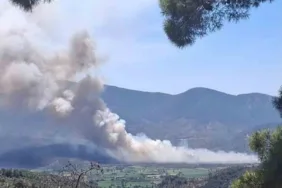 milas-pinarcikta-makilik-ve-zeytinlik-alan-yangini-yKAlLOap.jpg