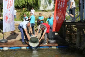muglada-205-bin-sazan-yavrusu-su-kaynaklarina-birakildi-rPqkN6LS.jpg
