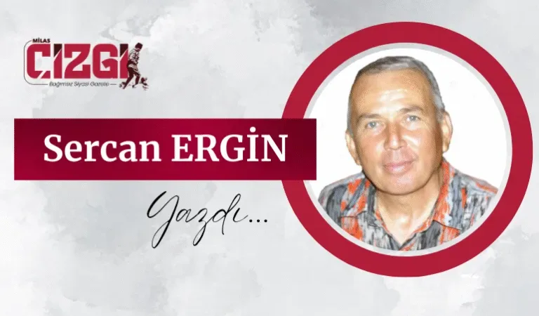 sercan-ergin-768x539
