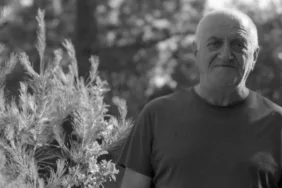 5937f29d-8ce8-4fef-ba00-72cc218aa76e