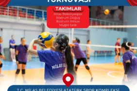 78fd9ee5-23b8-41da-a2d1-14ac6b7f25e7