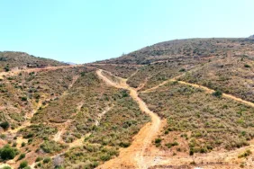 ÇÖKERTME'DE KÜLE DÖNEN ORMANLAR 5 YILDA YENİDEN HAYAT BULDU