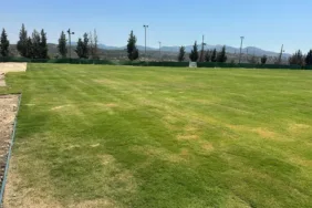 WhatsApp Image 2025-08-13 at 10.27.33