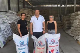 d767f91c-9f71-41f5-beb2-12a12bee9dd5