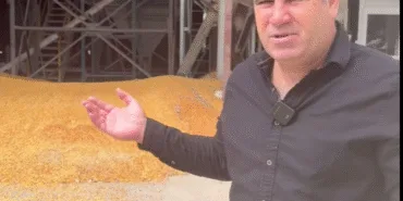 Ekran görüntüsü 2025-09-29 131053