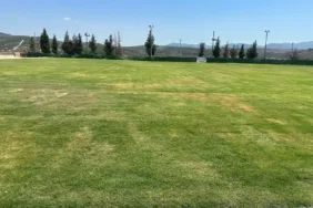 WhatsApp Image 2025-09-02 at 13.42.43