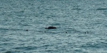 WhatsApp Image 2025-09-15 at 00.17.08