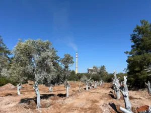 Akbelen YK Enerji