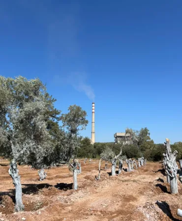 Akbelen YK Enerji