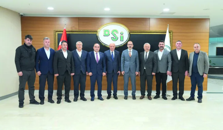 DSİ