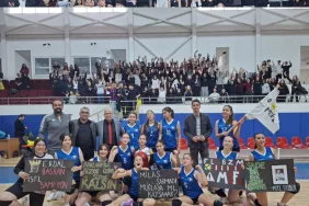 47db55dd-cd78-4e71-9e4b-08502c03ac1a