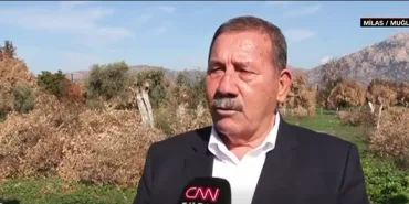 Ekran görüntüsü 2025-11-12 165337