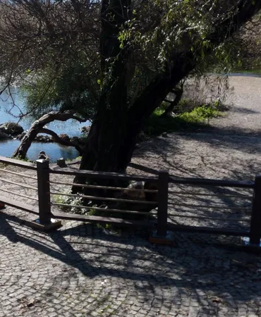 AKYAKA KADIN AZMAĞINDA DOĞAL DOKUYU KORUYAN ÇALIŞMA TAMAMLANDI