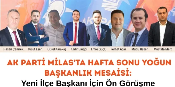 Hasan Çemrek (2)