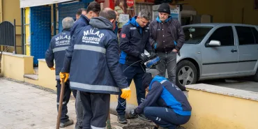 WhatsApp Image 2026-01-29 at 16.50.47