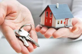 WhatsApp Image 2026-01-31 at 17.14.28