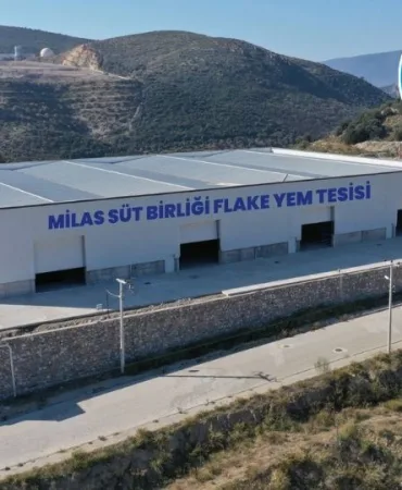 süt birligi
