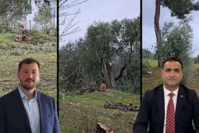 6758b09e-d84b-4425-82d2-ff1424fcd516