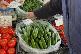 SERALAR ZARAR GÖRDÜ, MUĞLA'DA SALATALIK REKOR FİYATA ULAŞTI