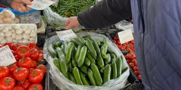 SERALAR ZARAR GÖRDÜ, MUĞLA'DA SALATALIK REKOR FİYATA ULAŞTI