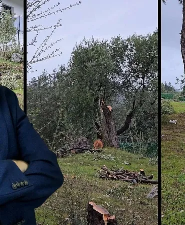 Adsız tasarım (5)