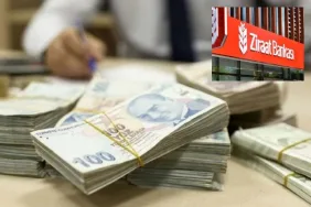 WhatsApp Image 2026-02-15 at 10.04.01