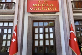 WhatsApp Image 2026-02-15 at 11.14.45