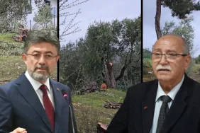 WhatsApp Image 2026-02-16 at 12.43.19