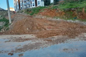 WhatsApp Image 2026-02-24 at 10.10.30 (3)