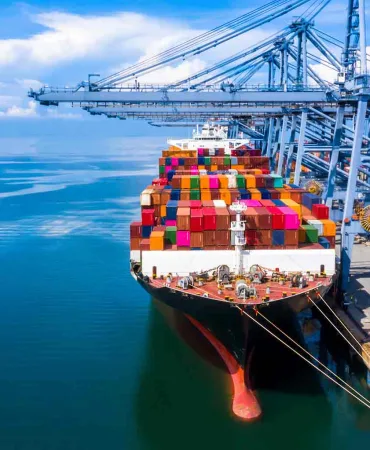 2A428E7C81D147188F66CB2CEB2E91F2