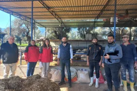 649844506_18102445015897625_4631893357645336032_n